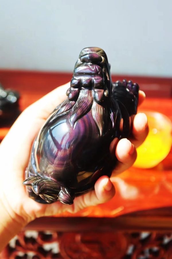 极品彩虹眼黑曜石龙龟,寓意长寿和安康-菩心晶舍