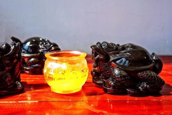 极品彩虹眼黑曜石龙龟,寓意长寿和安康-菩心晶舍