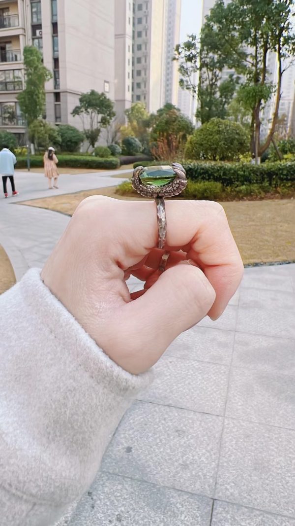 【客户返图】捷克陨石返图,小哥哥这手,迷死人!-菩心晶舍