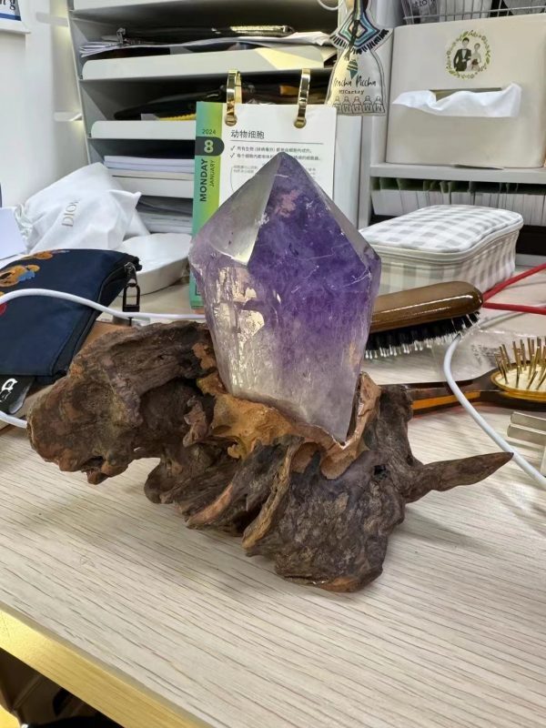 【客户返图】老粉的日常返图,美好且温馨-菩心晶舍